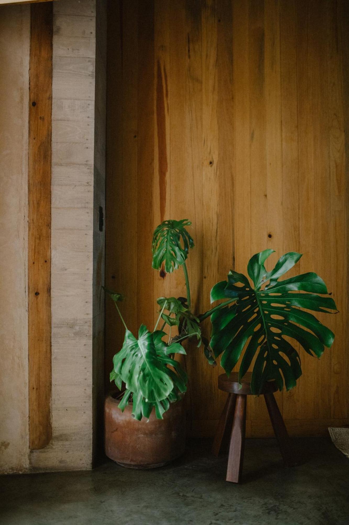 Hotel Escondido Oaxaca, A Member Of Design Hotels מראה חיצוני תמונה